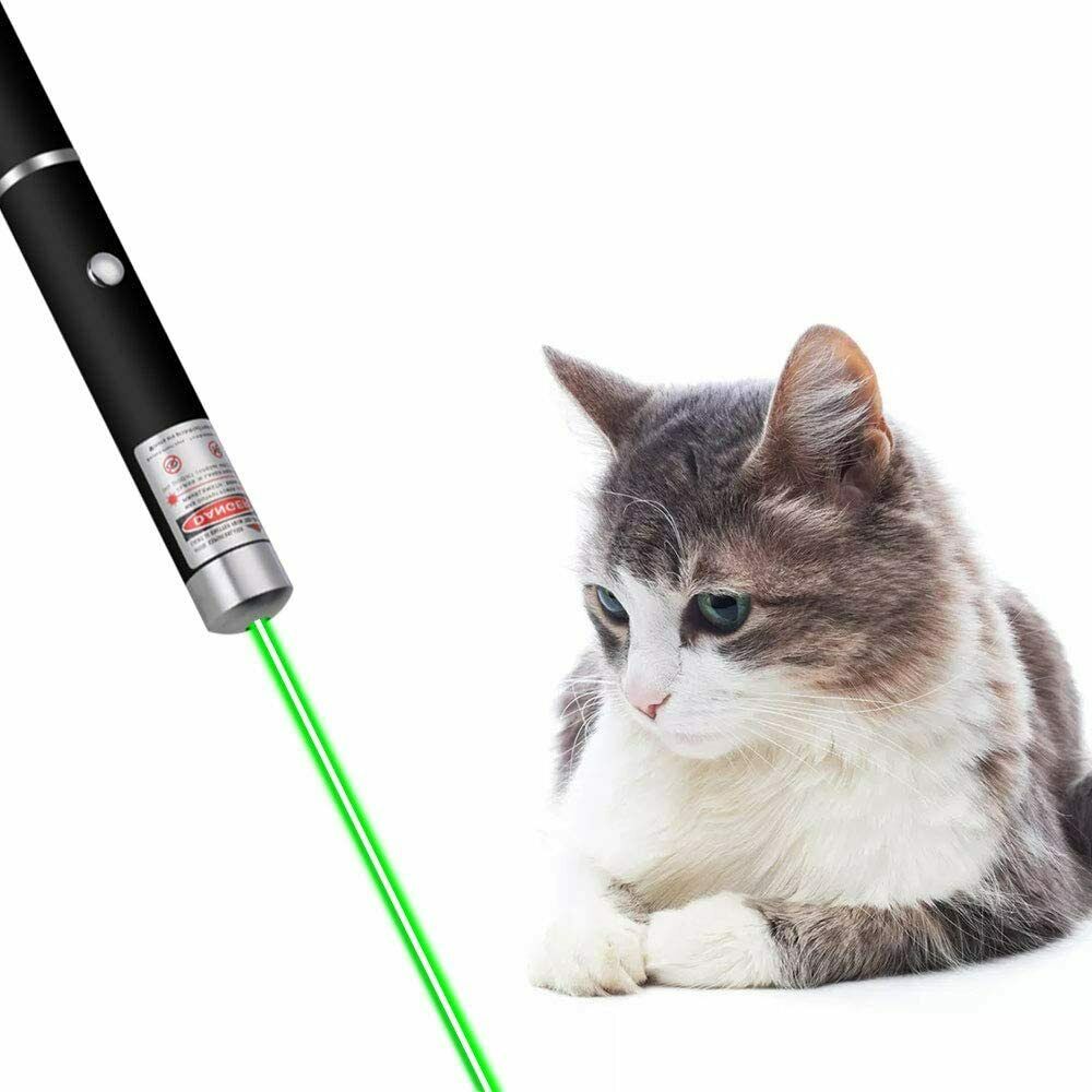 Laser Pointer Pen